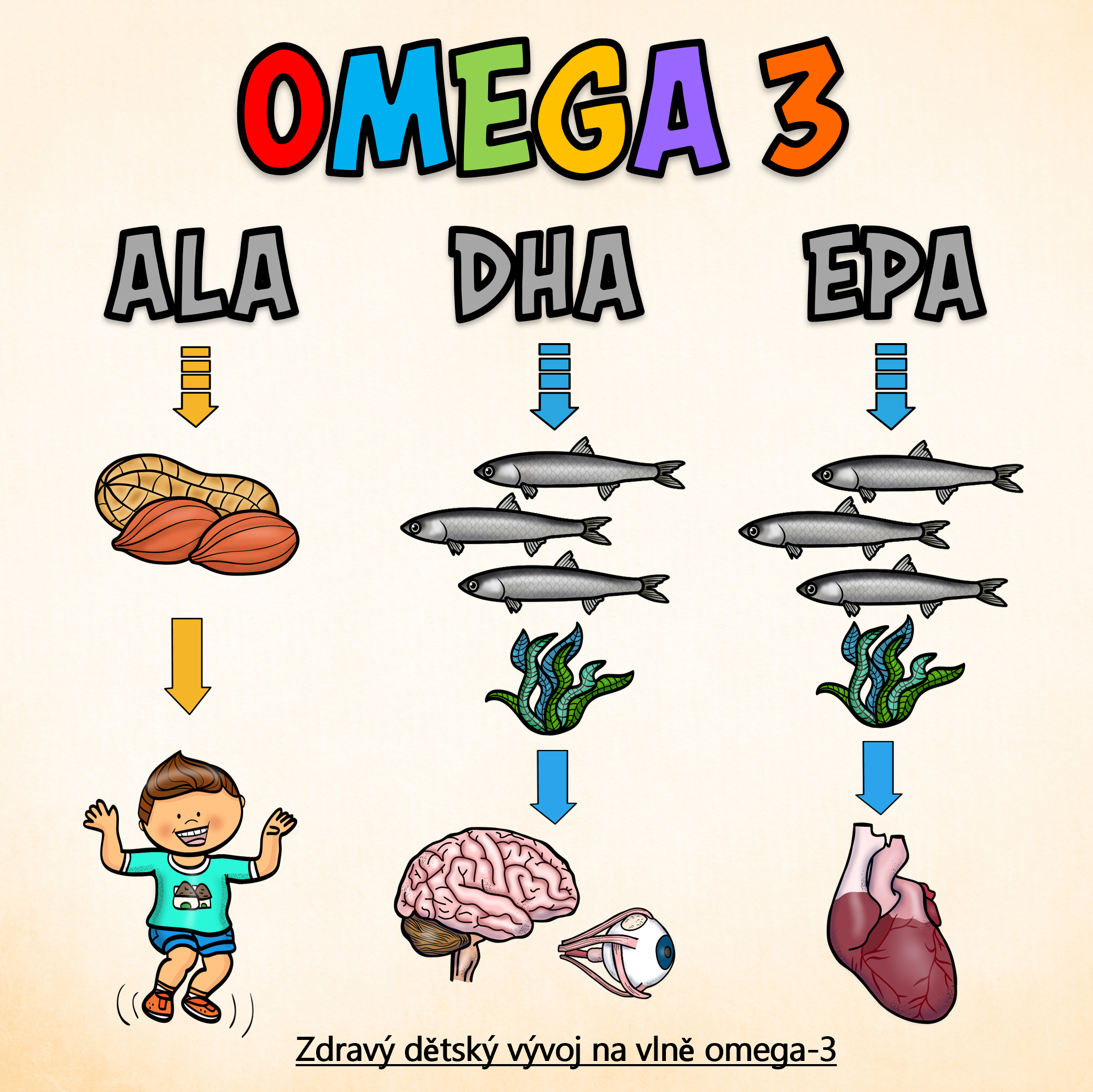 OMEGA 3